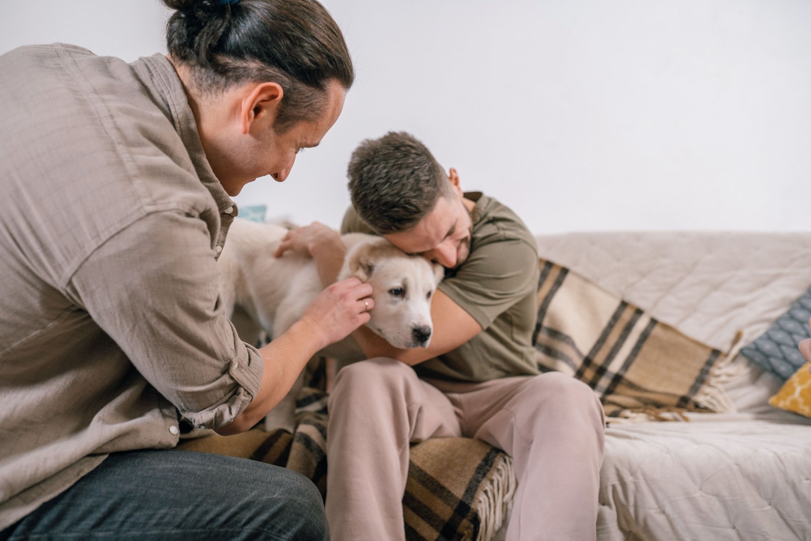 Tutores abraçando um cachorro branco no sofá